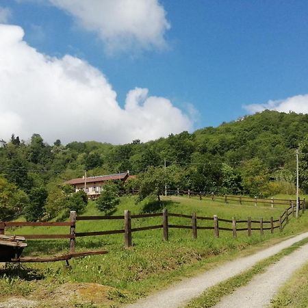 La Casa In Collina Panzió Cinzano Kültér fotó